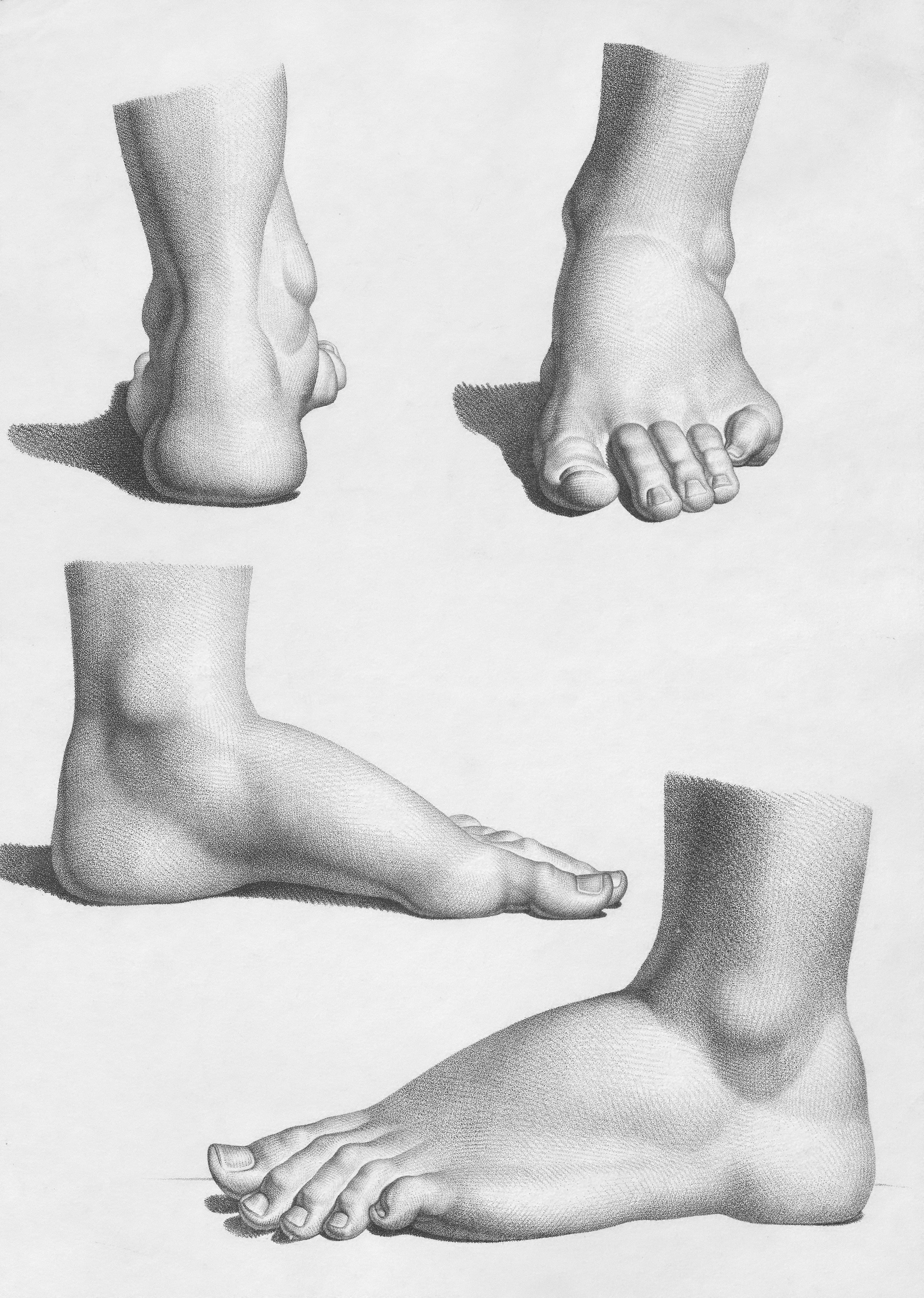 A drawing depicting a human foot seen from four different angles
