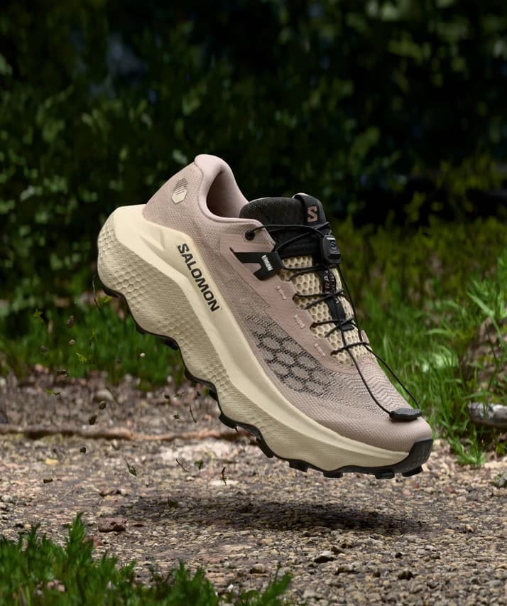 A pair of Salomon trail shoes